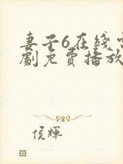 妻子6在线电视剧免费播放