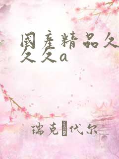 国产精品久久久久久a