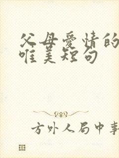 父母爱情的句子唯美短句