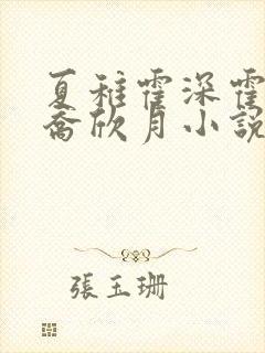 夏稚霍深霍栖野乔欣月小说名字