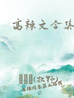 高辣文合集h