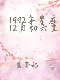 1992年农历12月初六生辰八字