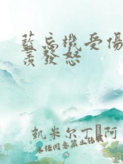 蓝忘机受伤魏无羡发怒