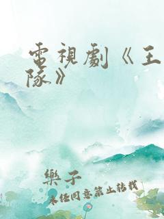 电视剧《王牌部队》