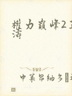 权力巅峰2王洪涛
