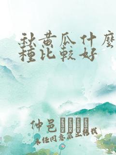 秋黄瓜什么时候种比较好