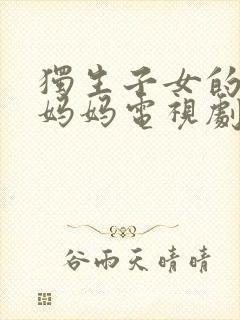 独生子女的婆婆妈妈电视剧剧情介绍