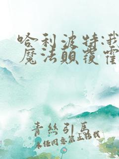 哈利波特:我的魔法颠覆霍格华兹最新章节