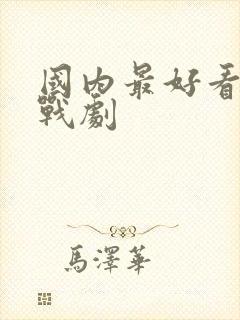 国内最好看的谍战剧