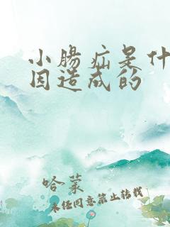 小肠疝是什么原因造成的