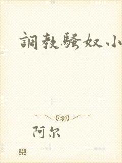 调教骚奴小说