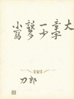 小说一章大概要写多少字 小说一章大概要写多少字