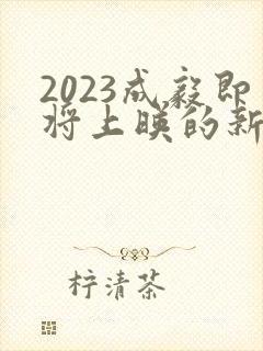 2023成毅即将上映的新剧