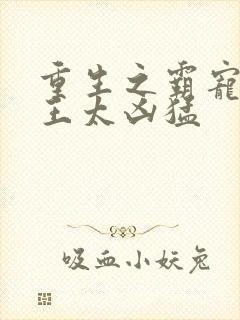 重生之霸宠摄政王太凶猛