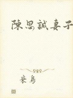 陈思诚妻子