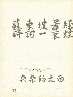 苏东坡最经典的诗词一蓑烟雨任平生 苏东坡最经典的诗词一蓑烟雨任平生