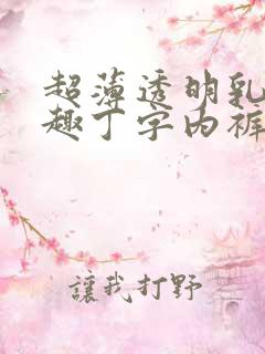 超薄透明乳罩情趣丁字内裤文