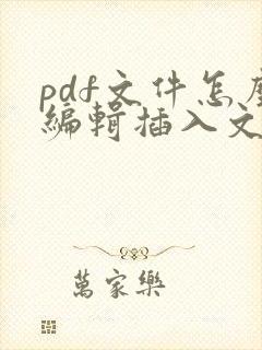 pdf文件怎么编辑插入文字