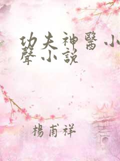 功夫神医小说有声小说