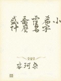 盛乔霍希小说叫什么名字