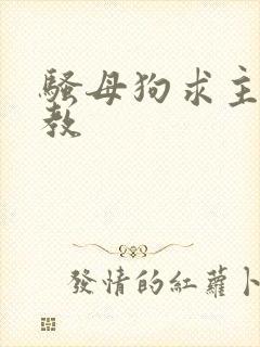 骚母狗求主人调教
