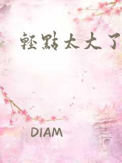 轻点太大了小说
