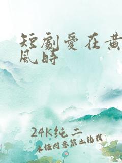 短剧爱在黄昏晚风时