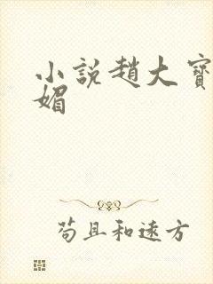 小说赵大宝,苏媚 小说赵大宝,苏媚