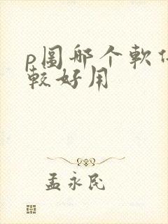 p图哪个软件比较好用