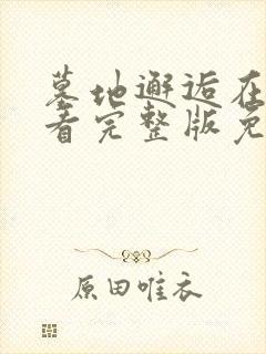 墓地邂逅在线观看完整版免费观看