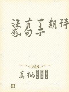 没有了期待的伤感句子