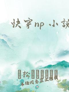 快穿np 小说