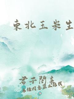 东北玉米生长期