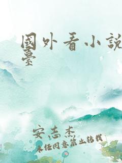 国外看小说的平台
