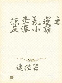 掠夺气运之子的反派小说 掠夺气运之子的反派小说