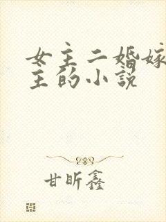 女主二婚嫁给男主的小说