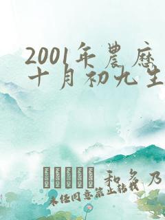 2001年农历十月初九生辰八字