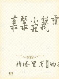 有声小说霍先生乖乖宠我 有声小说霍先生乖乖宠我