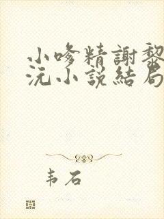 小嗲精谢黎宋沅沅小说结局