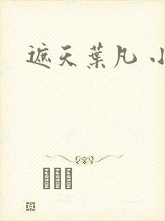 遮天叶凡 小说