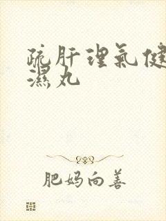 疏肝理气健脾祛湿丸