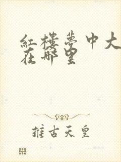 红楼梦中大观园在哪里