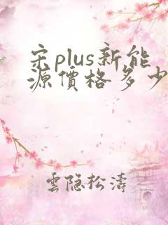 宋plus新能源价格多少
