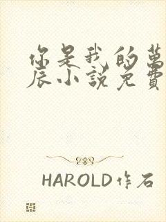 你是我的万千星辰小说免费阅读全文