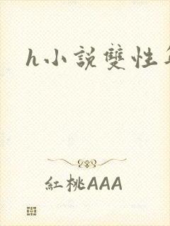 h小说双性年上