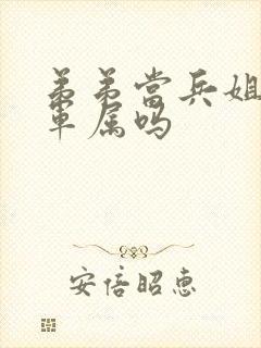 弟弟当兵姐姐算军属吗 弟弟当兵姐姐算军属吗