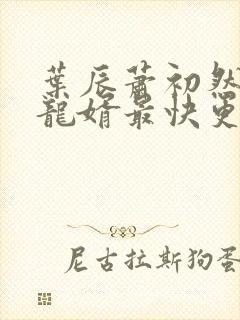 叶辰萧初然上门龙婿最快更新 叶辰萧初然上门龙婿最快更新