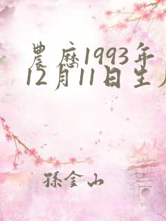 农历1993年12月11日生辰八字