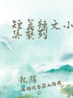 短篇辣文小说合集系列