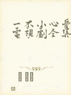 一不小心爱上你电视剧全集免费看
